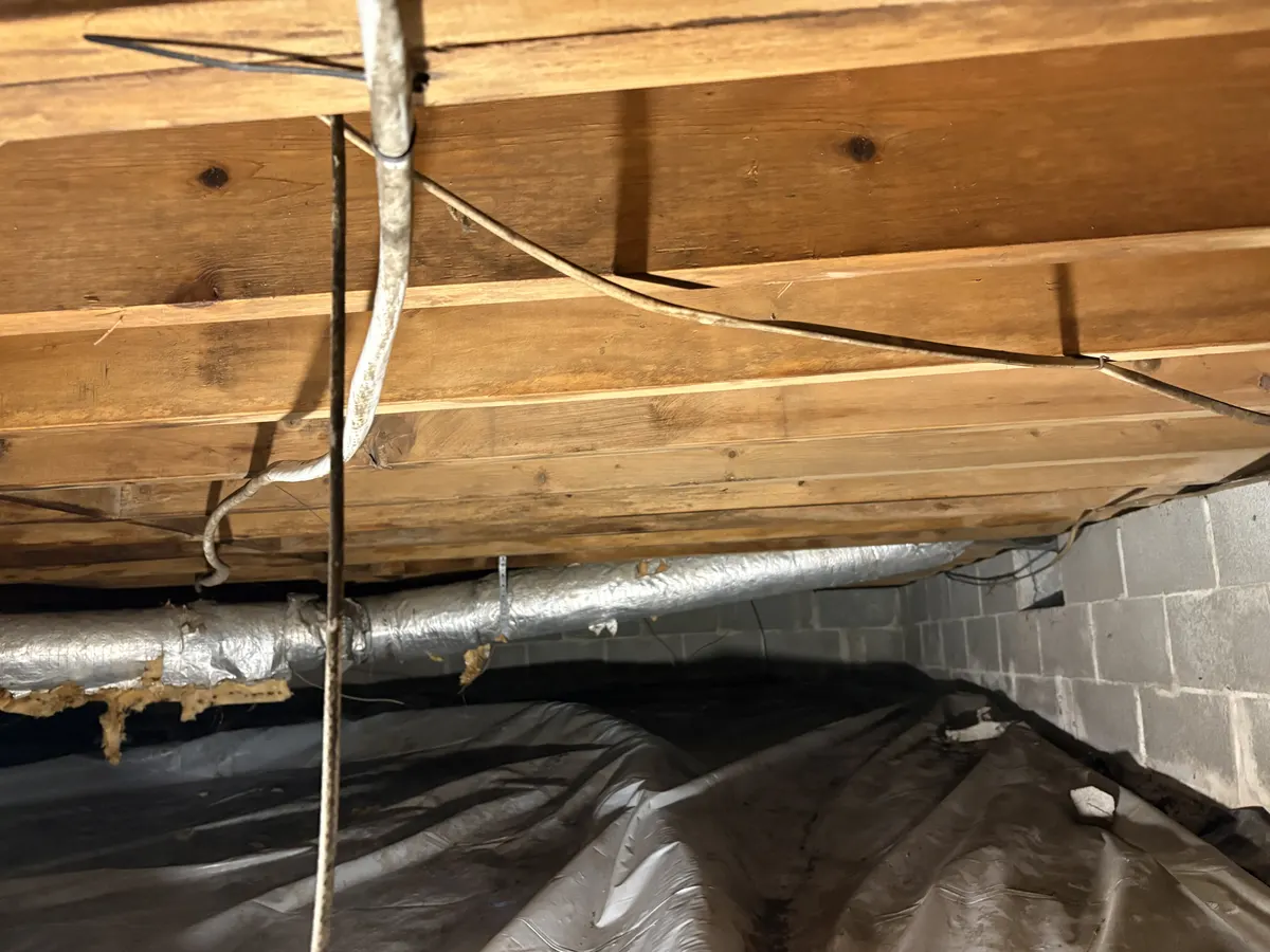 Illustrative mold remediation service image; not a verified completed project