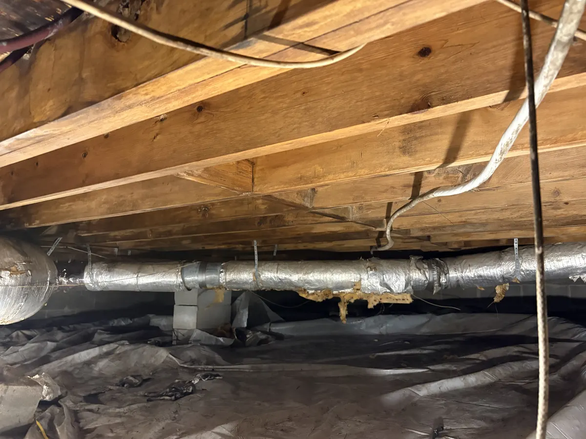 Illustrative mold remediation service image; not a verified completed project